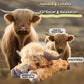 🔥Hot Sale 49% Off🎁Cute Cartoon Highland Cow Stuffed Toy